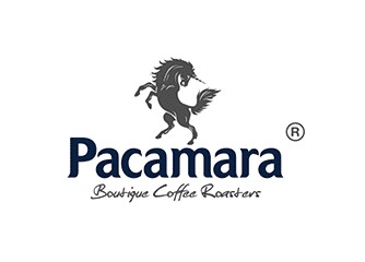 Pacamara 