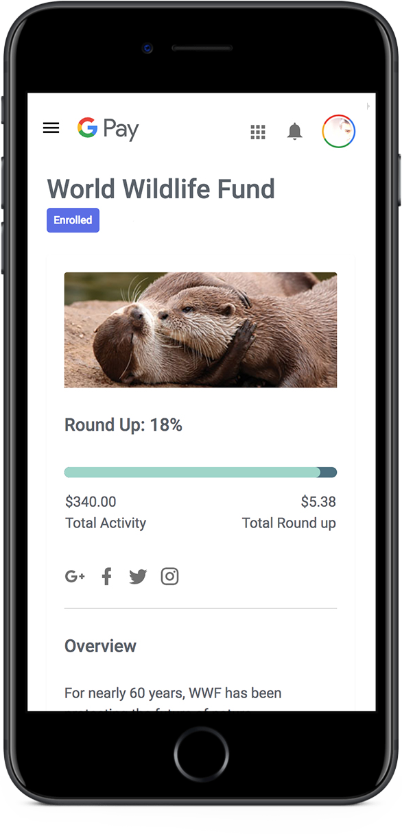 Google Pay App Sample Interface on phone running iOS: Back button Michael Mizono twinsnakes@gmail.com $45 Add note numerical keypad Request button Send Button